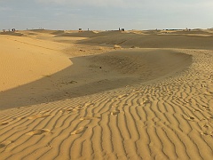 jaisalmer (363)